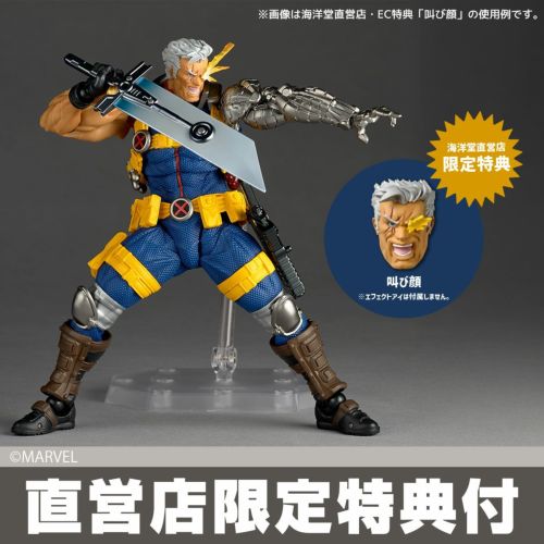 [Bonus] Revoltech Amazing Yamaguchi Cable Ver.1.5