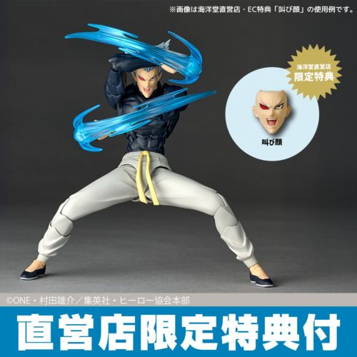 [Bonus] Revoltech Amazing Yamaguchi Garou