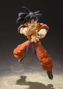 SHF Son Goku -A Saiyan Raised on Earth-