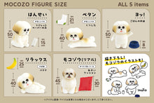 ・・・Mocozo Figure Collection BOX Edition 12Pack BOX・・・