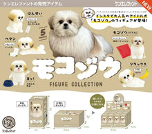 ・・・Mocozo Figure Collection BOX Edition 12Pack BOX・・・