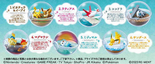 ・・・Pokemon Terrarium Collection 13 6Pack BOX・・・